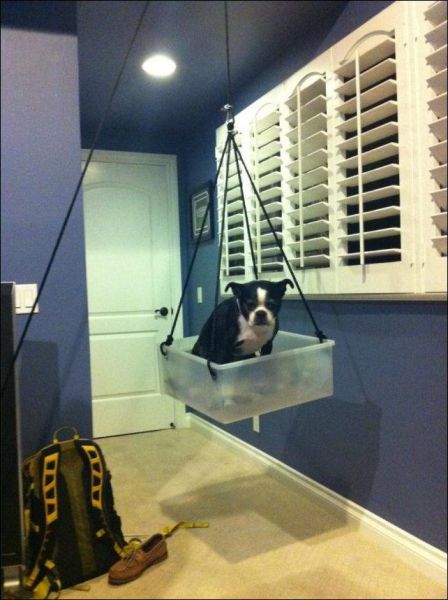 morning picdump 58 pics 25.html - 58 HD Photos | Premium Gallery 2012