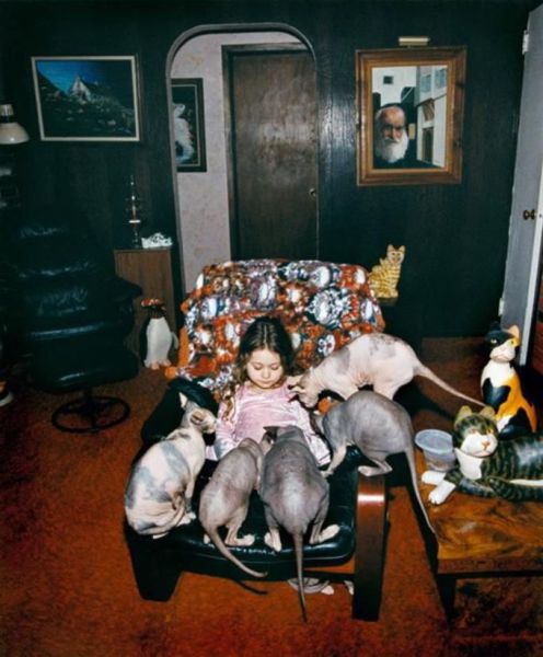 morning picdump 58 pics 25.html - 58 HD Photos | Premium Gallery 2012