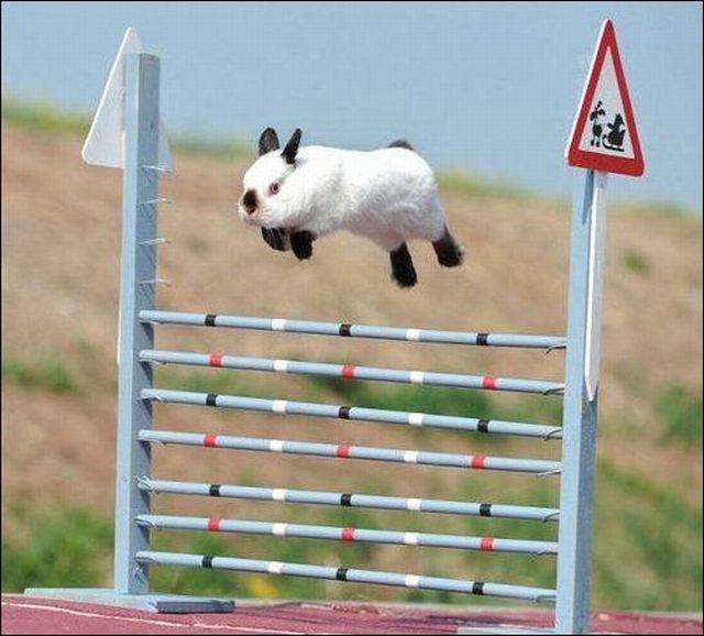 morning picdump 58 pics 25.html - 58 HD Photos | Premium Gallery 2012