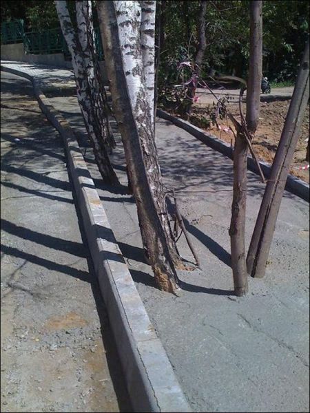 morning picdump 58 pics 25.html - 58 HD Photos | Premium Gallery 2012