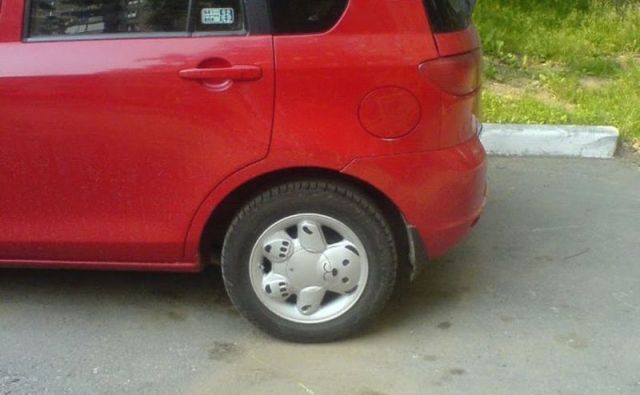 morning picdump 57 pics 44.html - 57 HD Photos | Premium Gallery 2012