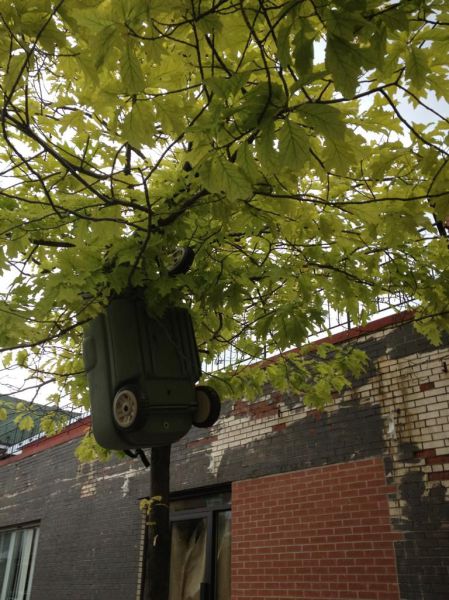 morning picdump 57 pics 44.html - 57 HD Photos | Premium Gallery 2012