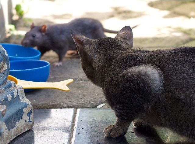 morning picdump 57 pics 44.html - 57 HD Photos | Premium Gallery 2012