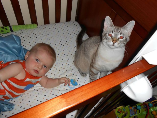 morning picdump 57 pics 44.html - 57 HD Photos | Premium Gallery 2012