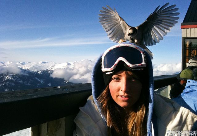 morning picdump 58 pics 14.html - 58 HD Photos | Premium Gallery 2012