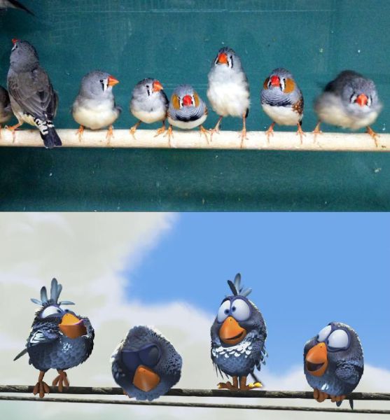 morning picdump 54 pics 12.html - 54 HD Photos | Premium Gallery 2012