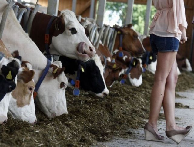 morning picdump 58 pics 1.html - 58 HD Photos | Premium Gallery 2012