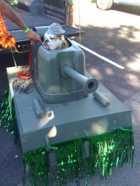 morning picdump 58 pics 1.html - 58 HD Photos | Premium Gallery 2012