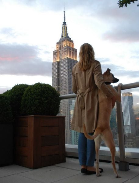 morning picdump 58 pics 1.html - 58 HD Photos | Premium Gallery 2012