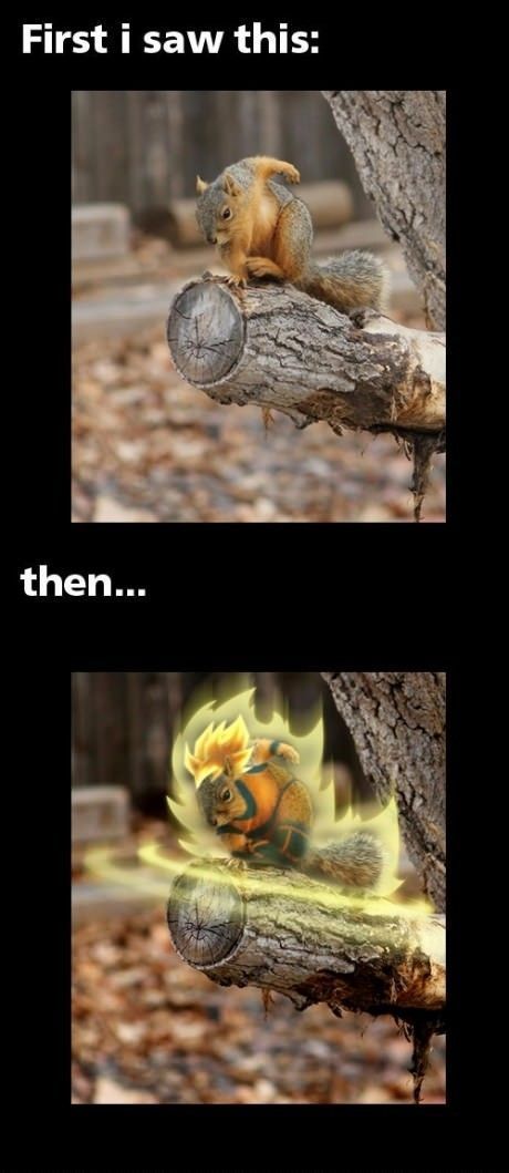 morning picdump 58 pics 1.html - 58 HD Photos | Premium Gallery 2012