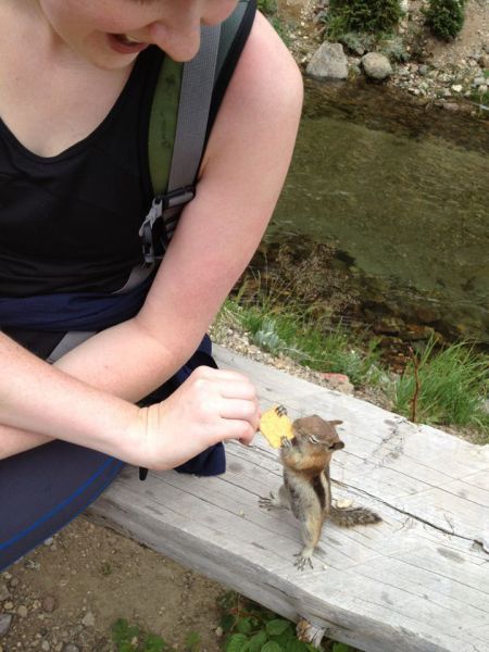 Morning Picdump