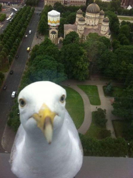 Morning Picdump