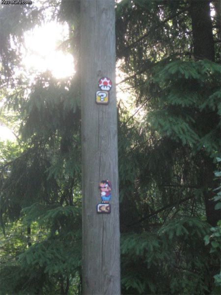 morning picdump 54 pics 17.html - 54 HD Photos | Premium Gallery 2012