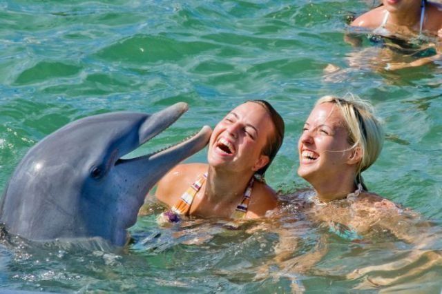 morning picdump 54 pics 17.html - 54 HD Photos | Premium Gallery 2012