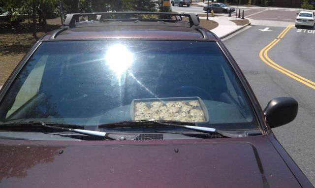 morning picdump 54 pics 17.html - 54 HD Photos | Premium Gallery 2012