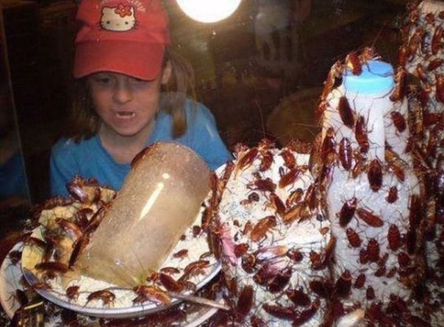 Morning Picdump