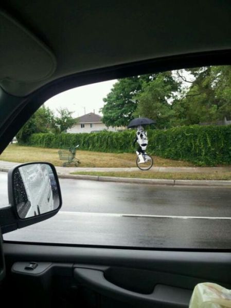 Morning Picdump
