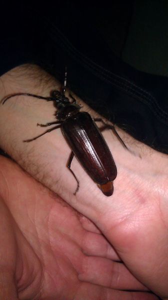 morning picdump 61 pics 42.html - 61 HD Photos | Premium Gallery 2012