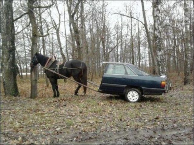 morning picdump 61 pics 42.html - 61 HD Photos | Premium Gallery 2012