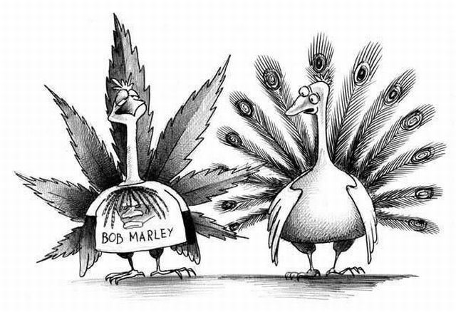 morning picdump 61 pics 42.html - 61 HD Photos | Premium Gallery 2012