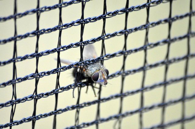 morning picdump 61 pics 42.html - 61 HD Photos | Premium Gallery 2012