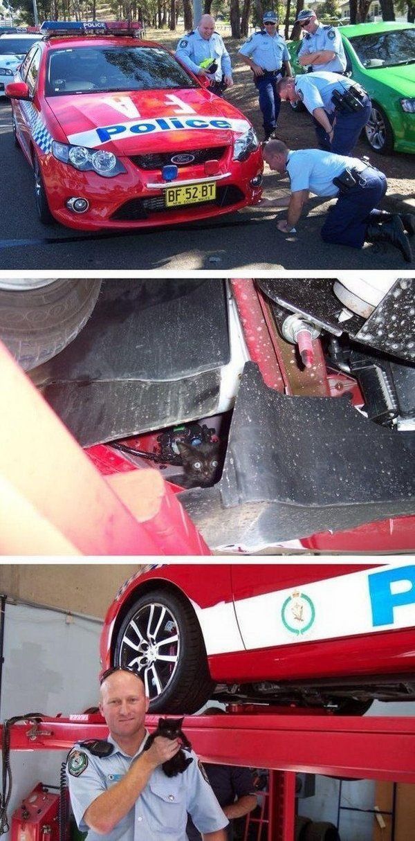 morning picdump 61 pics 42.html - 61 HD Photos | Premium Gallery 2012