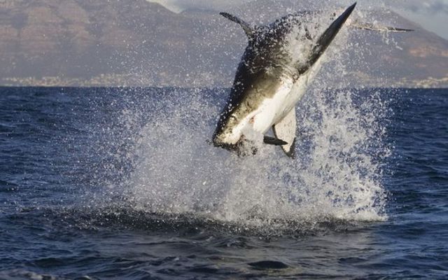 This Is Why Beaches Suck