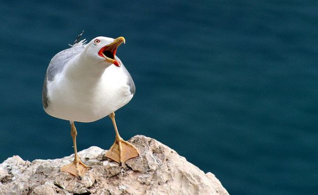 This Is Why Beaches Suck