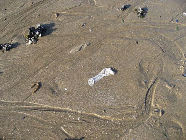 This Is Why Beaches Suck