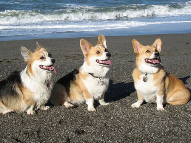 This Is Why Beaches Suck