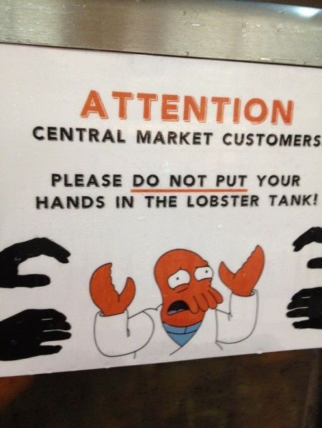 morning picdump 56 pics 7.html - 56 HD Photos | Premium Gallery 2012