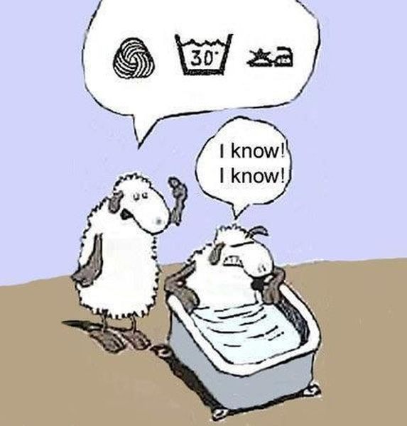 morning picdump 56 pics 7.html - 56 HD Photos | Premium Gallery 2012