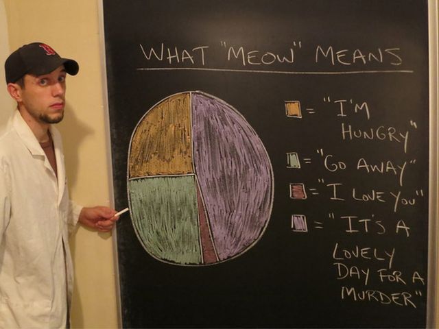 morning picdump 56 pics 7.html - 56 HD Photos | Premium Gallery 2012