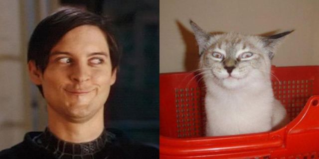 daily picdump 108 pics 15.html - 108 HD Photos | Premium Gallery 2012