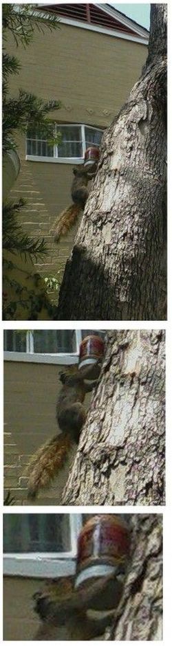 daily picdump 108 pics 15.html - 108 HD Photos | Premium Gallery 2012