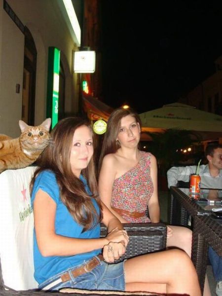 daily picdump 108 pics 2.html - 108 HD Photos | Premium Gallery 2012