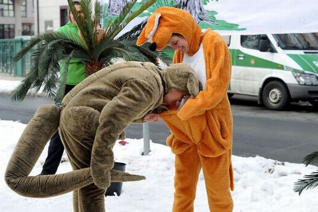 daily picdump 108 pics 2.html - 108 HD Photos | Premium Gallery 2012