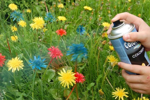 daily picdump 108 pics 2.html - 108 HD Photos | Premium Gallery 2012