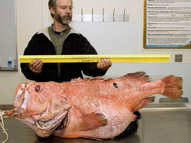 daily picdump 108 pics 2.html - 108 HD Photos | Premium Gallery 2012