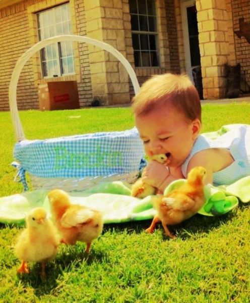 daily picdump 108 pics 2.html - 108 HD Photos | Premium Gallery 2012