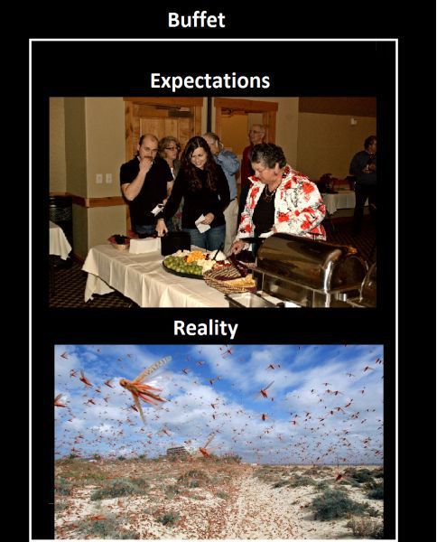 daily picdump 108 pics 2.html - 108 HD Photos | Premium Gallery 2012