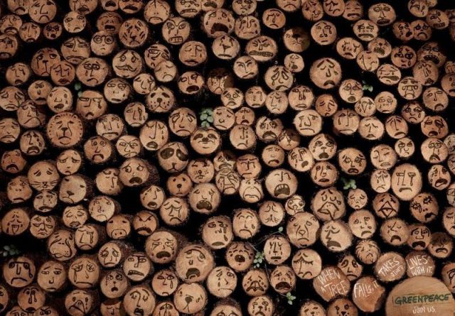 morning picdump 58 pics 17.html - 58 HD Photos | Premium Gallery 2012