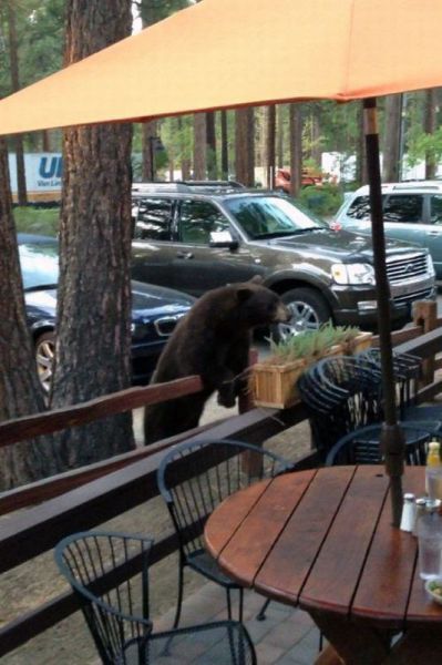 morning picdump 58 pics 17.html - 58 HD Photos | Premium Gallery 2012