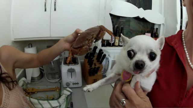 morning picdump 58 pics 17.html - 58 HD Photos | Premium Gallery 2012