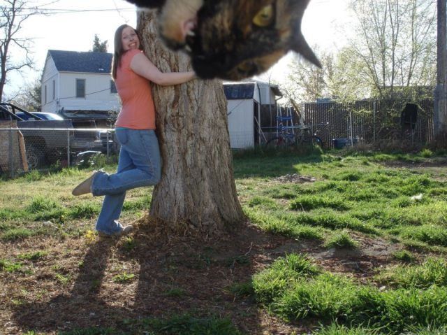 morning picdump 58 pics 17.html - 58 HD Photos | Premium Gallery 2012