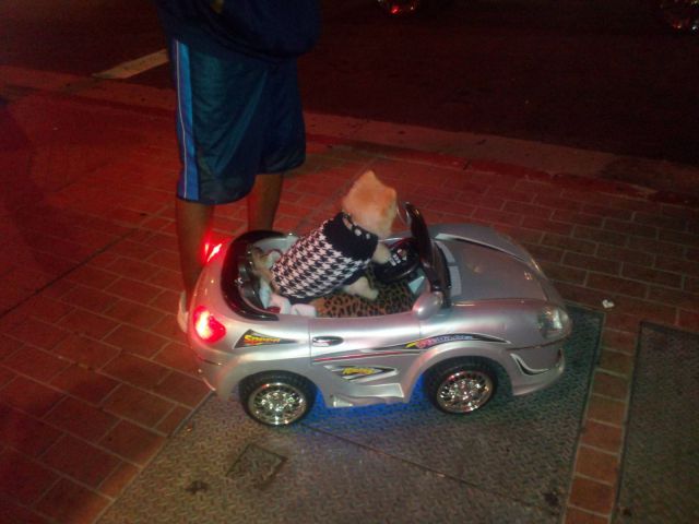 morning picdump 57 pics 23.html - 57 HD Photos | Premium Gallery 2012