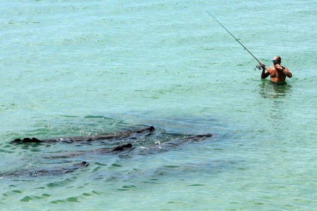 morning picdump 57 pics 23.html - 57 HD Photos | Premium Gallery 2012