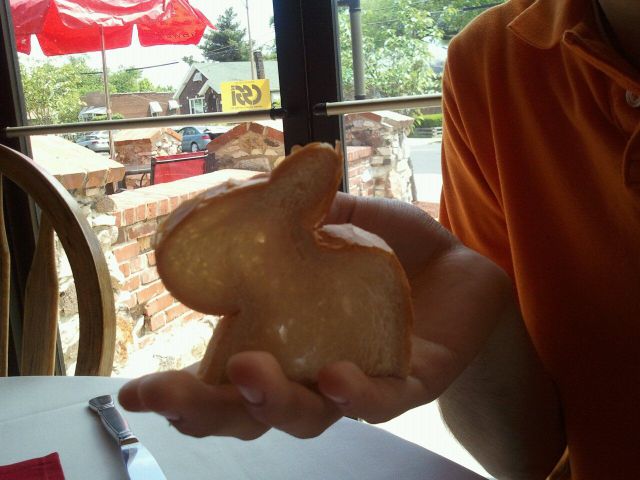 morning picdump 57 pics 23.html - 57 HD Photos | Premium Gallery 2012