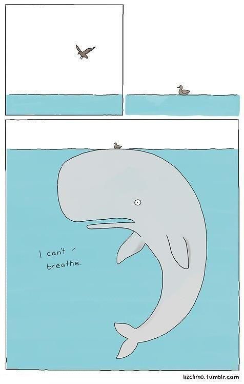 morning picdump 57 pics 23.html - 57 HD Photos | Premium Gallery 2012