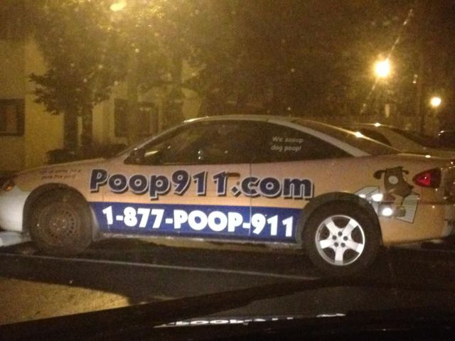 morning picdump 57 pics 12.html - 57 HD Photos | Premium Gallery 2012